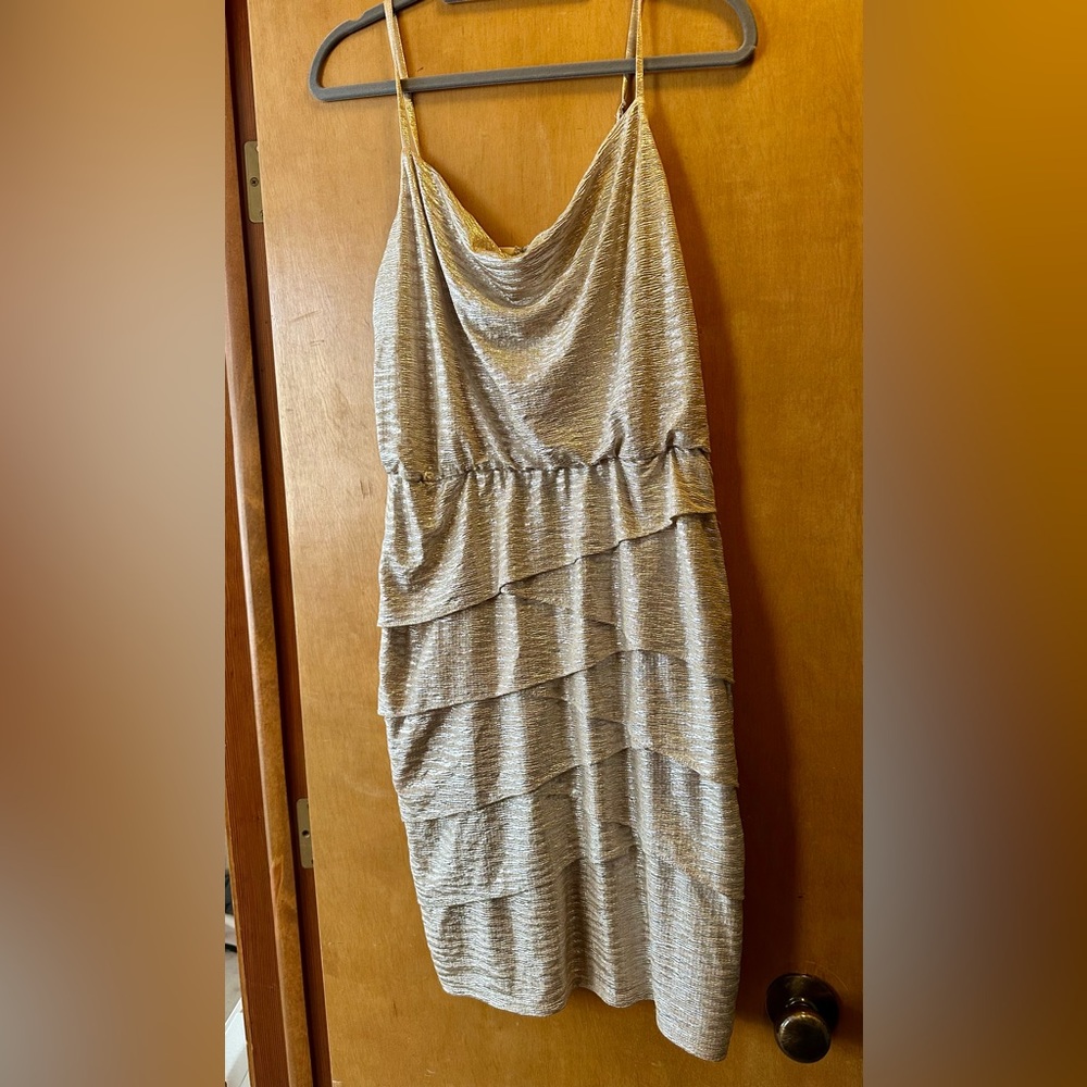 Laundry by Shelli Segal Champagne Dress